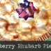 Blueberry Rhubarb Pie