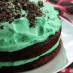 Mint Chocolate Torte