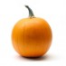 All Things Pumpkin
