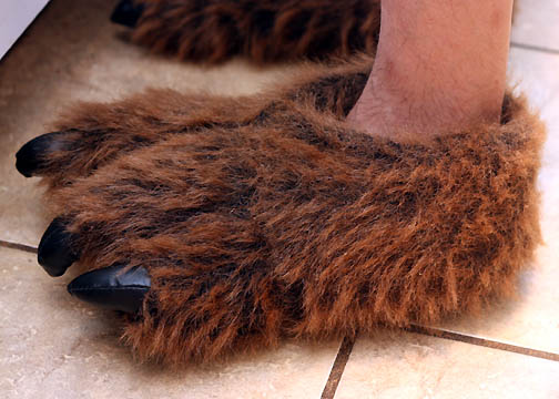 bear claw slippers 001