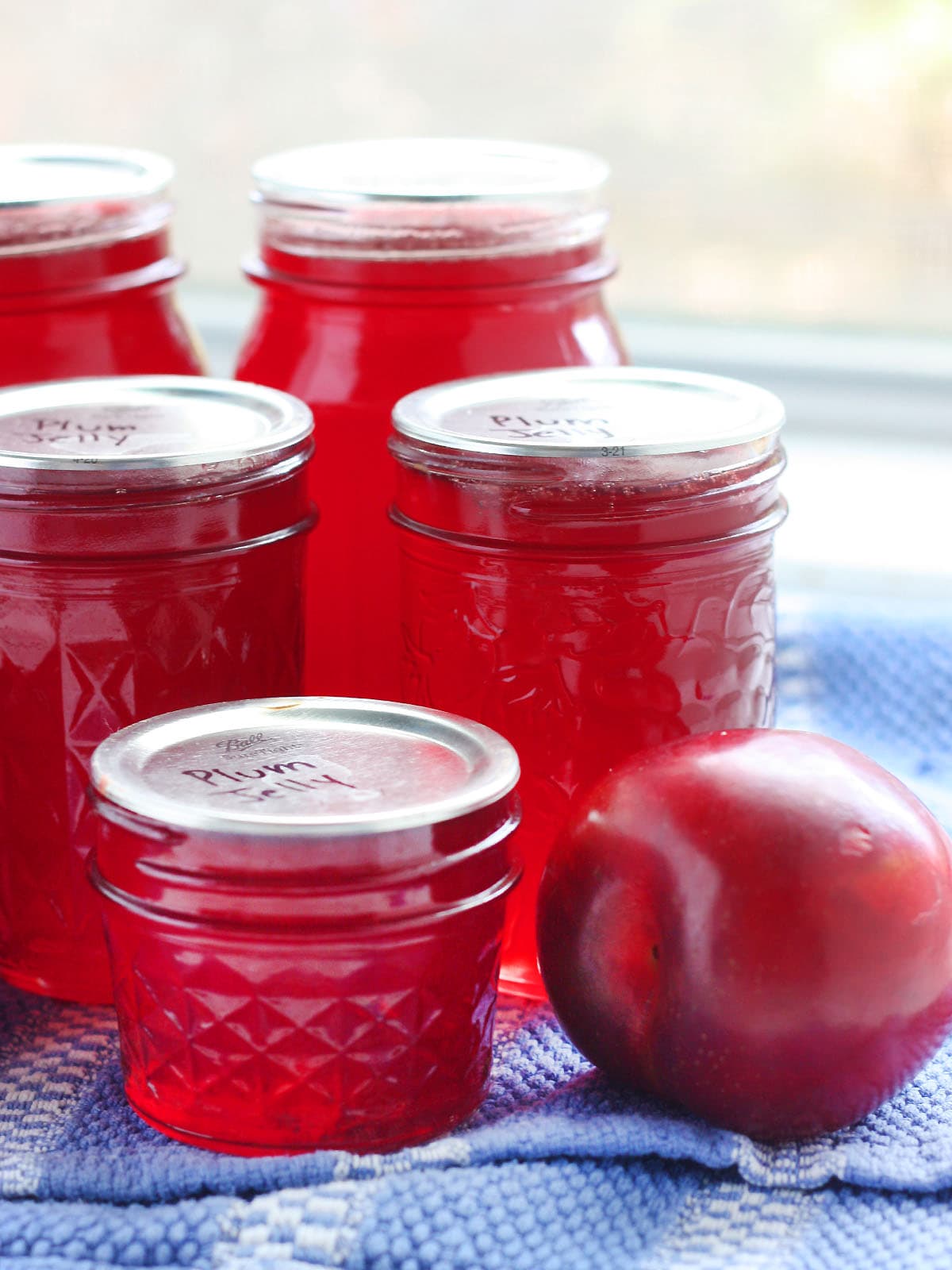 Jars of plum jelly and one fresh plum sitting on a towel in front of a window.