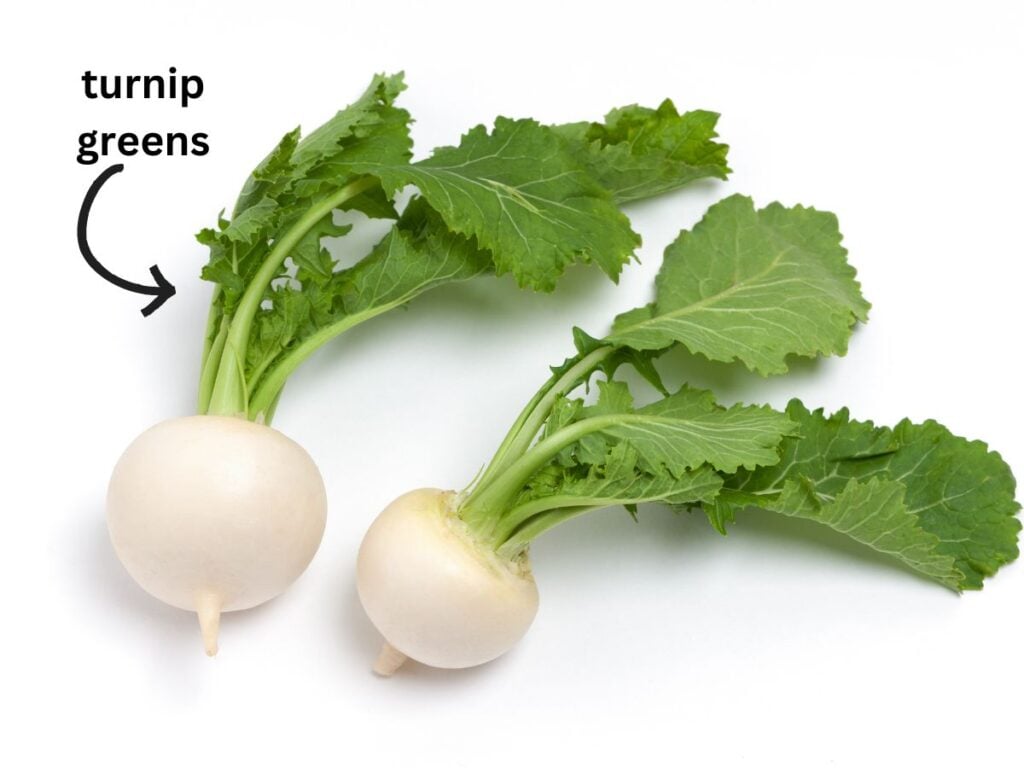 two turnips with greens on a white background with a black arrow pointing to the greens part