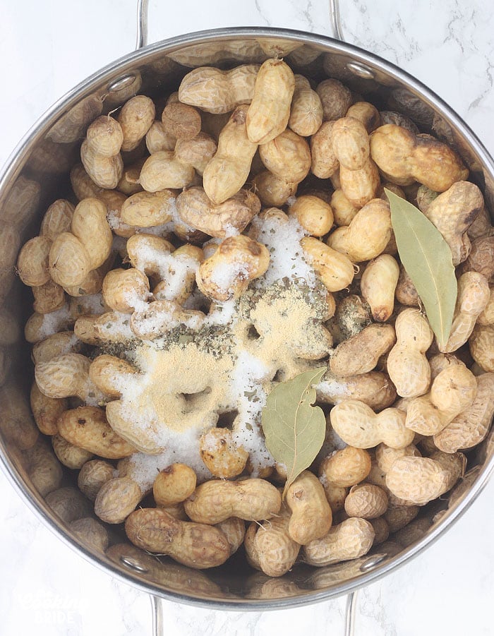 uncooked peanuts in a stock pot with salt, garlic powder, Italian seasoning and bay leaves