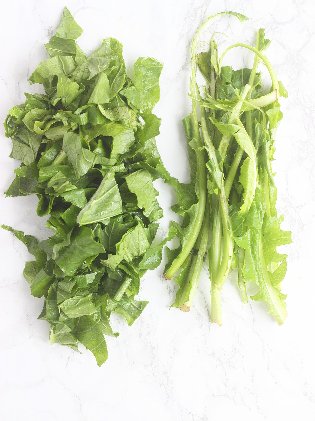 what turnip greens look like after the stems have been removed and chopped