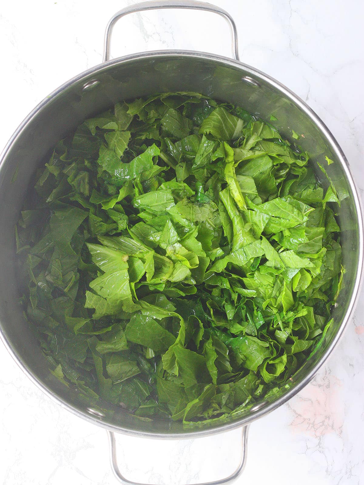 Uncooked chopped turnip greens in a stainless steel pot.