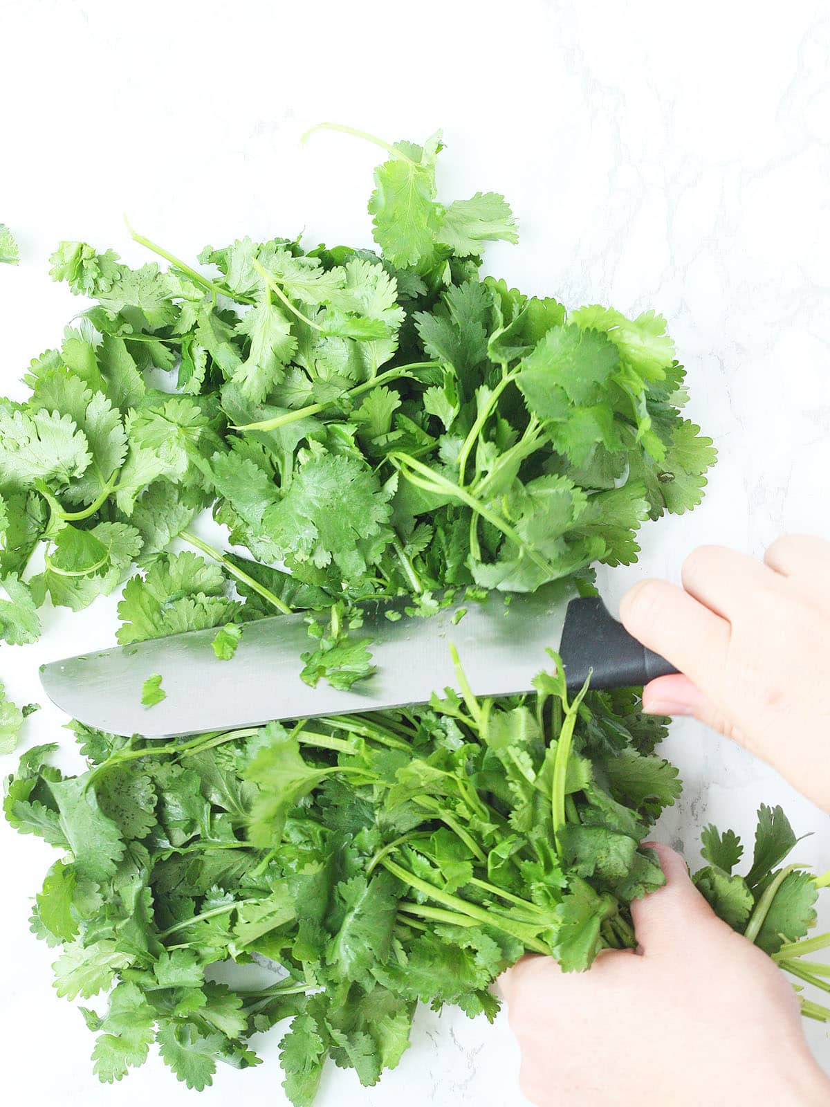 chopping cilantro leaves off the stems with a sharp knife