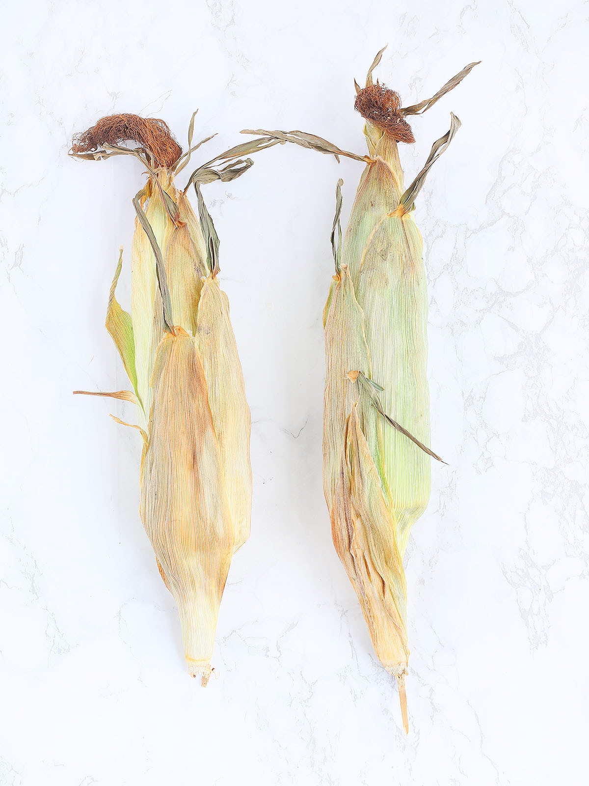 two ears of corn after they have been roasted in the oven