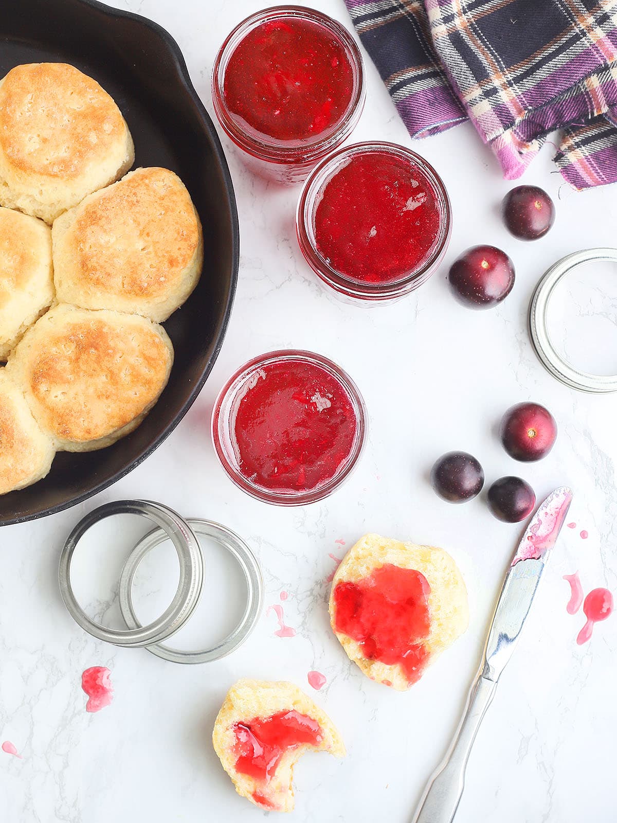 Three jars of muscadine jelly on a white counter with a pan of biscuits.