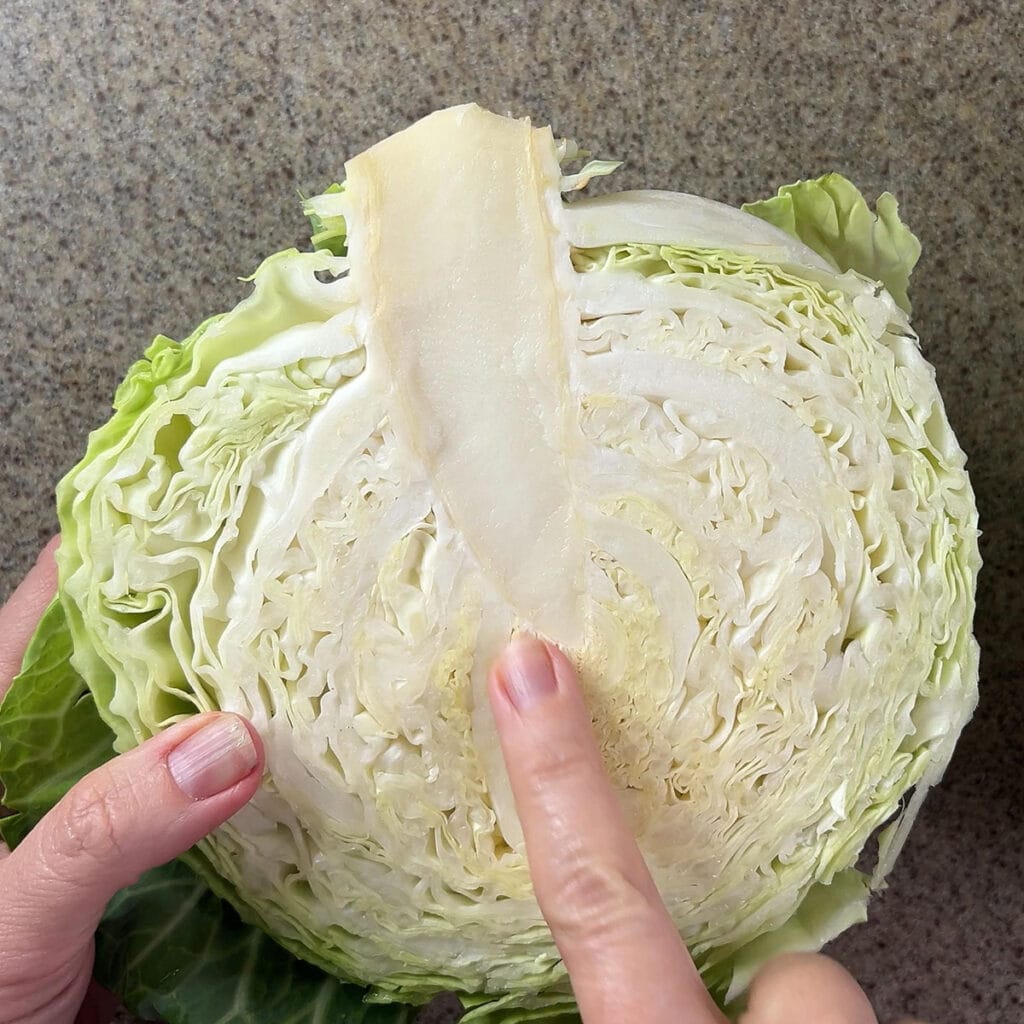 Finger pointing to the core in a piece of cabbage that has been cut in half.