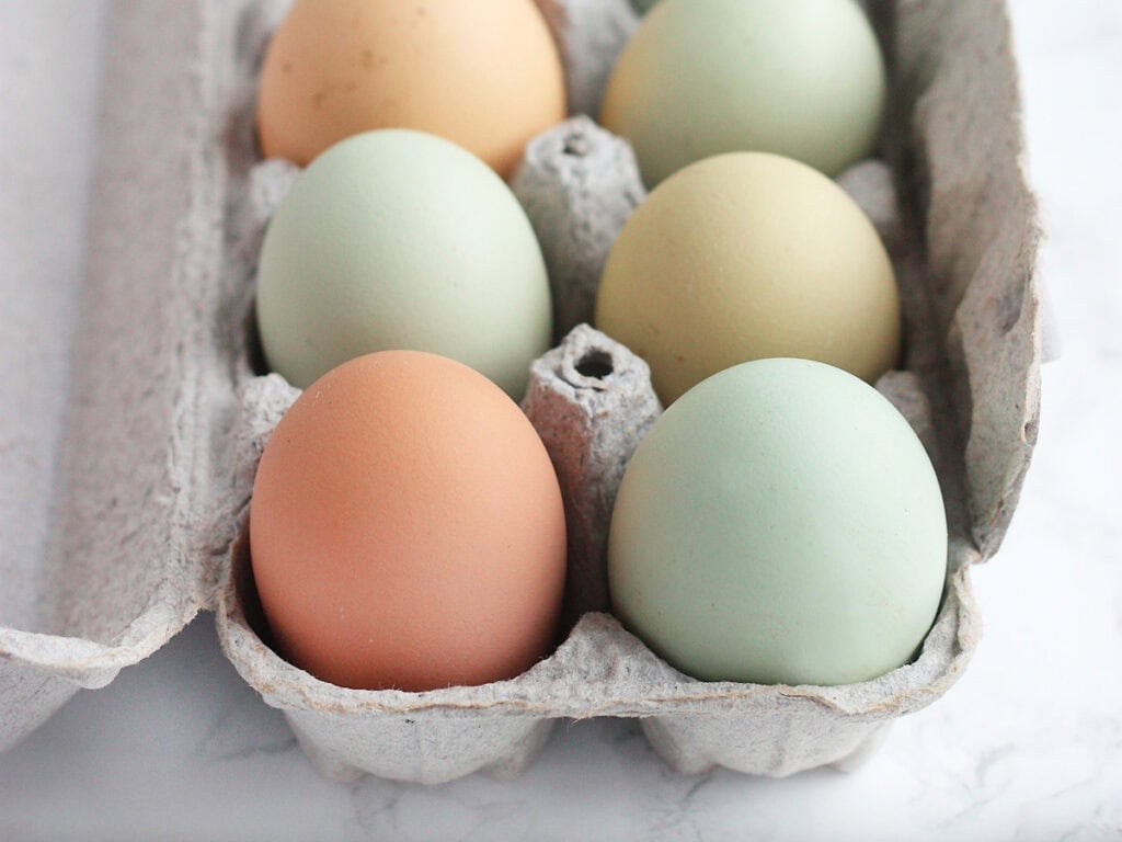 Multicolored eggs in a paper carton.