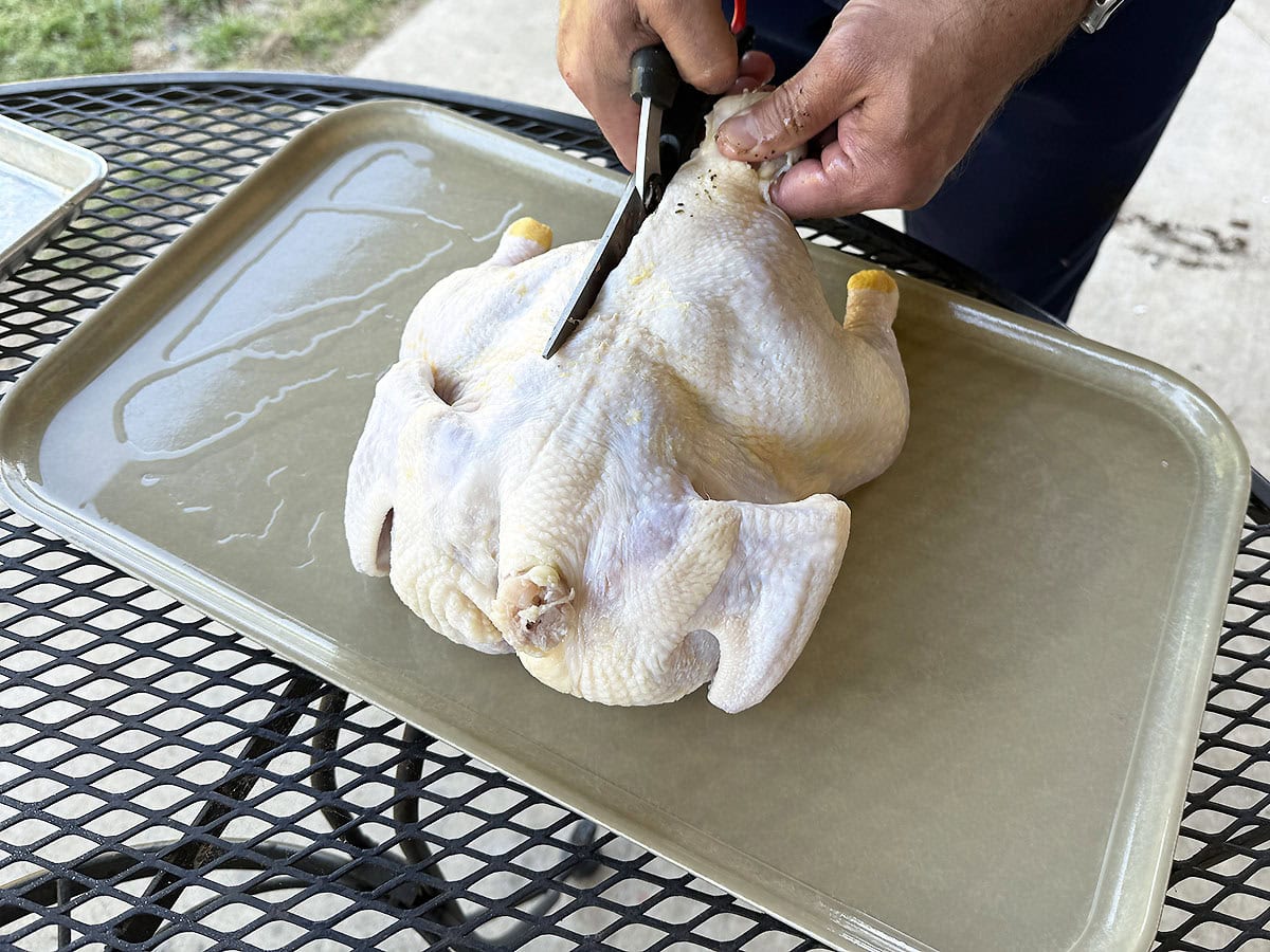 Using kitchen shears to cut up one side of the backbone of a chicken.