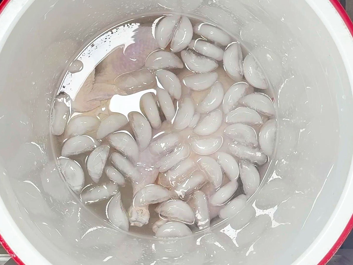 Raw whole chickens soaking in a saltwater brine in a cooler with ice.