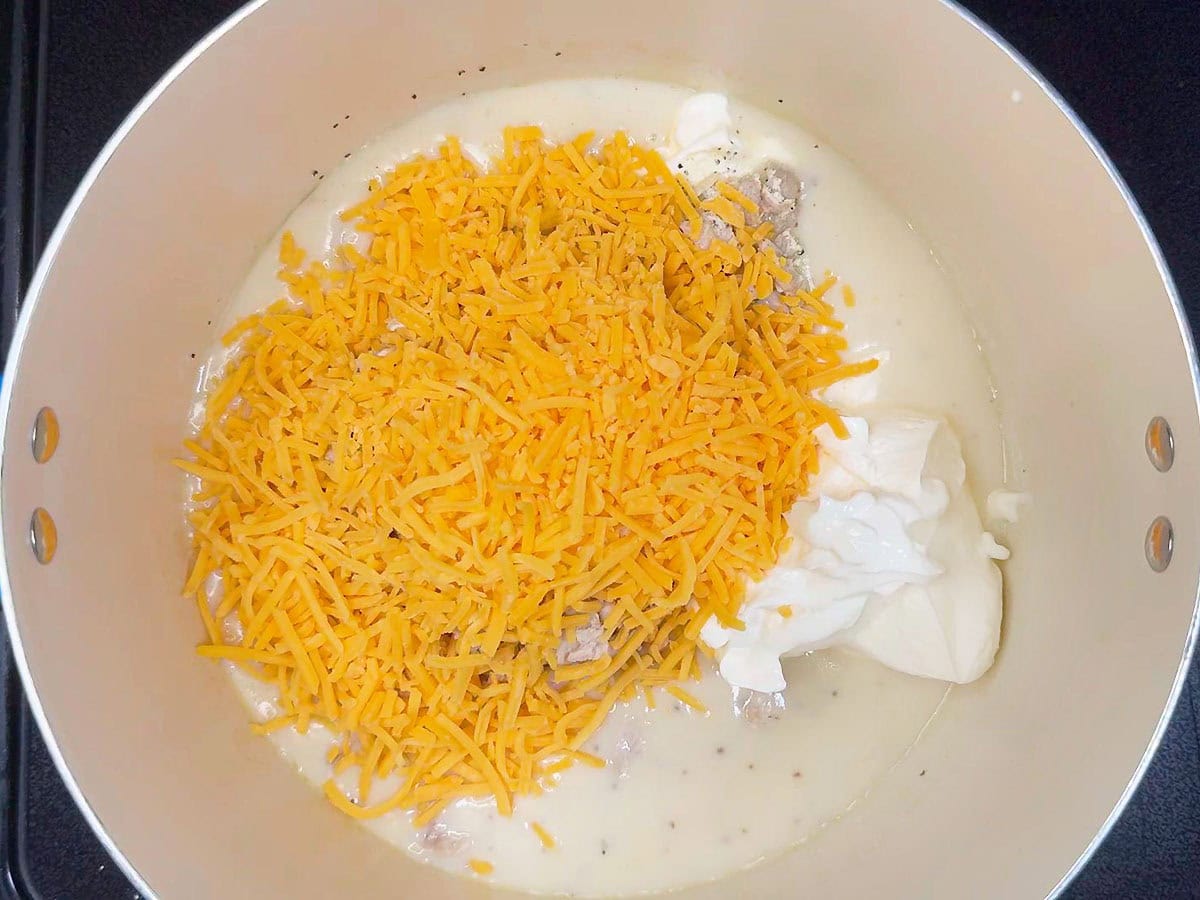 Shredded chicken, ranch seasoning, sour cream, and shredded cheese added to the cream sauce.