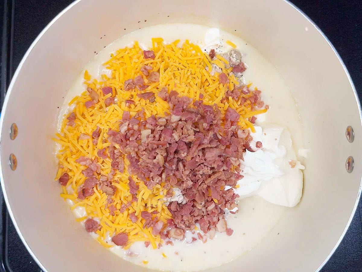 Shredded chicken, ranch seasoning, sour cream, shredded cheese, and bacon bits added to the cream sauce.