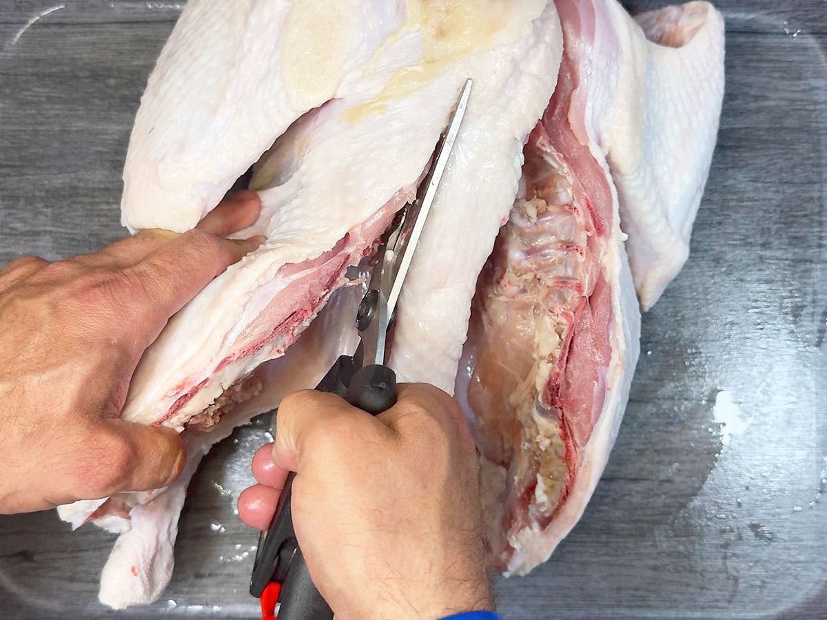 Using sharp kitchen shears to remove the backbone of an uncooked turkey.