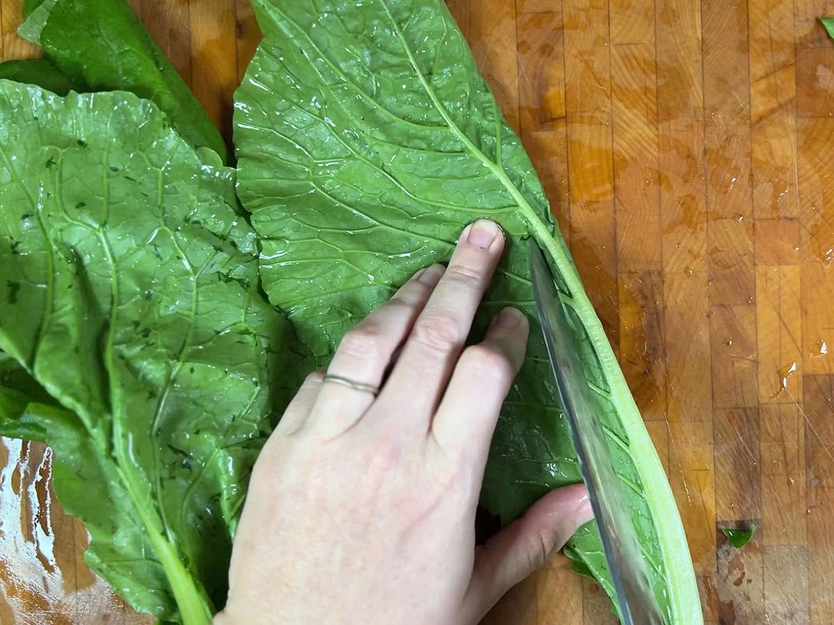 Using the tip of a sharp knife to remove the tough center stem from a turnip green leaf.