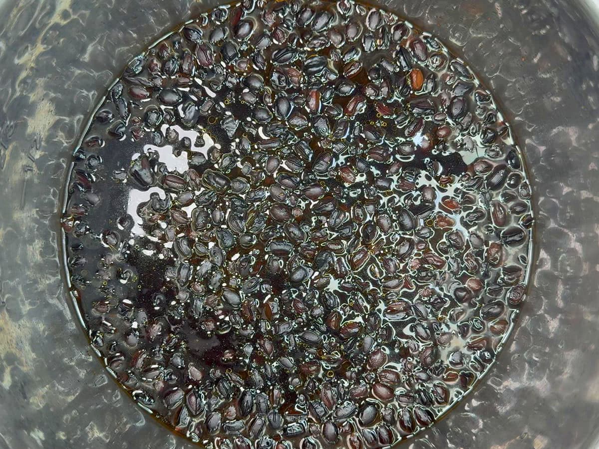 Softened black beans in the Instant Pot.