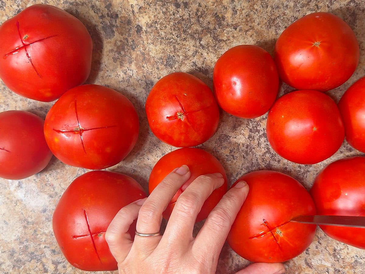 Cutting cross hatch marks into the bottom of whole tomatoes.
